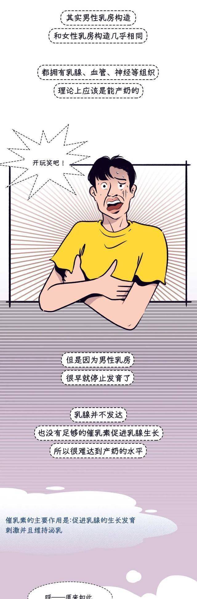 男生的"奶头"到底是干什么用的?今天为你讲明白(漫画)_乳腺_乳房_男性