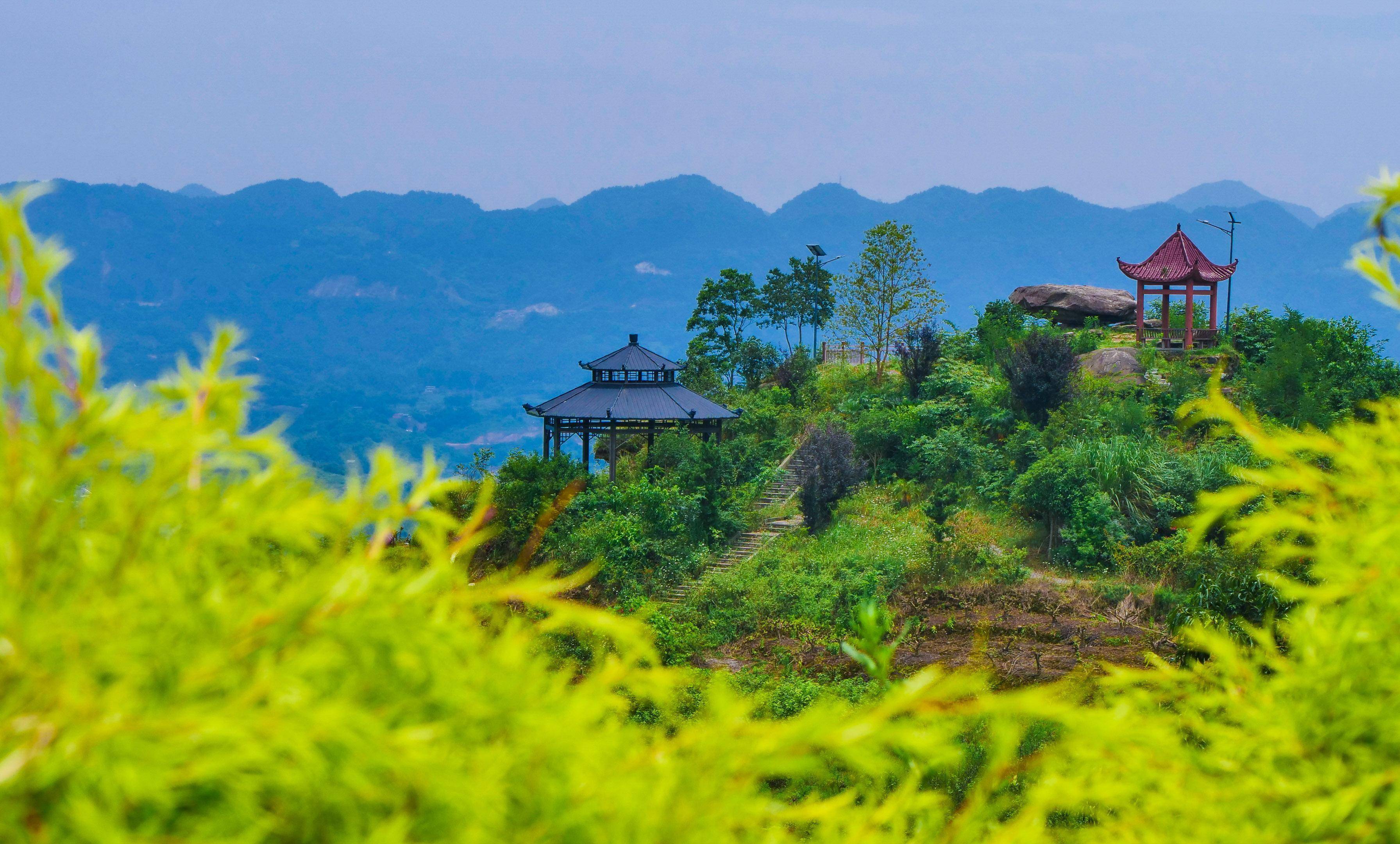 美了田园 红了日子——璧山区广普镇奋力推进乡村振兴战略_村民_环境