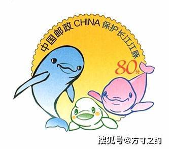 《保护长江江豚》普通邮资明信片pp2022_海豚_印刷版_mm