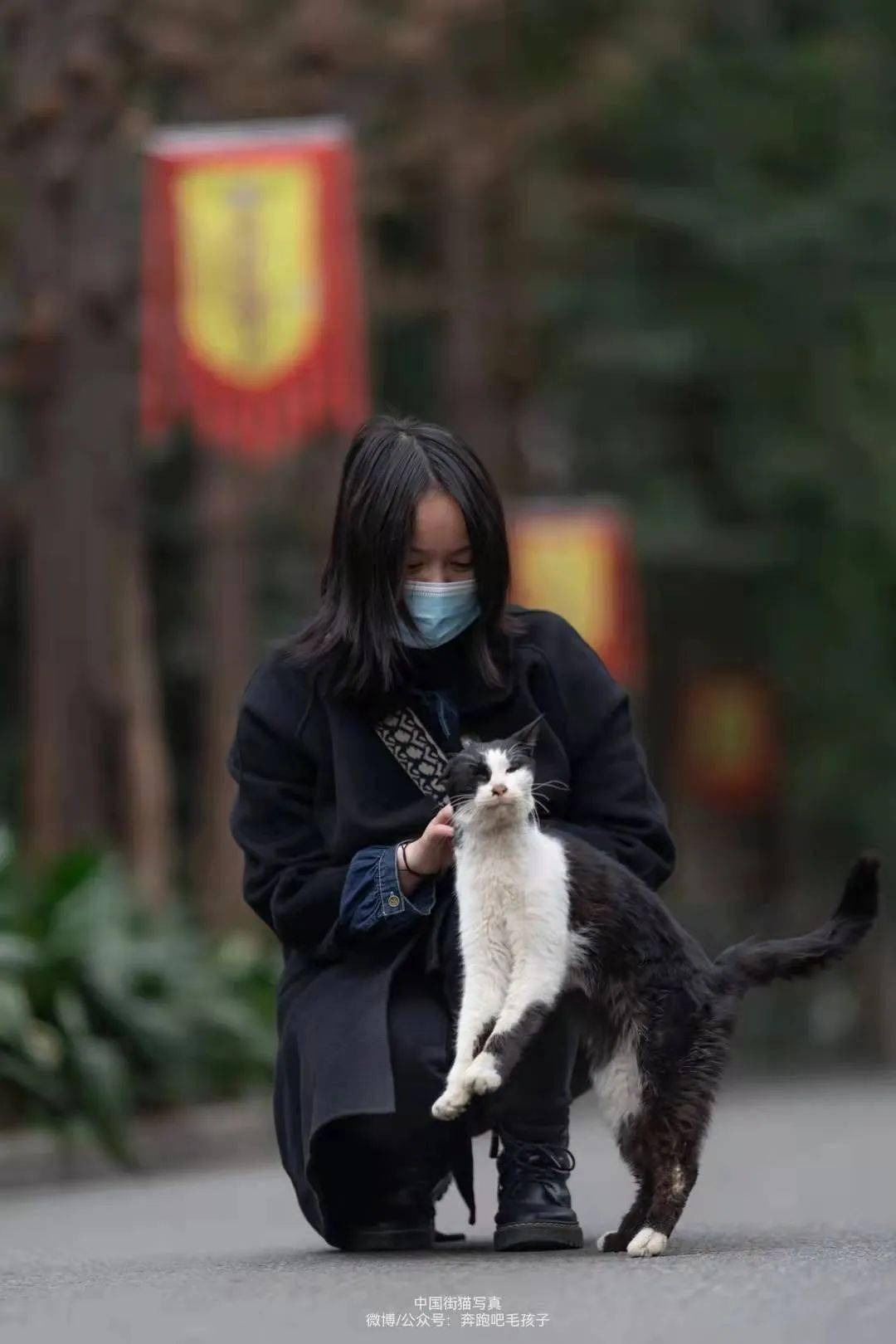 猫门公益
