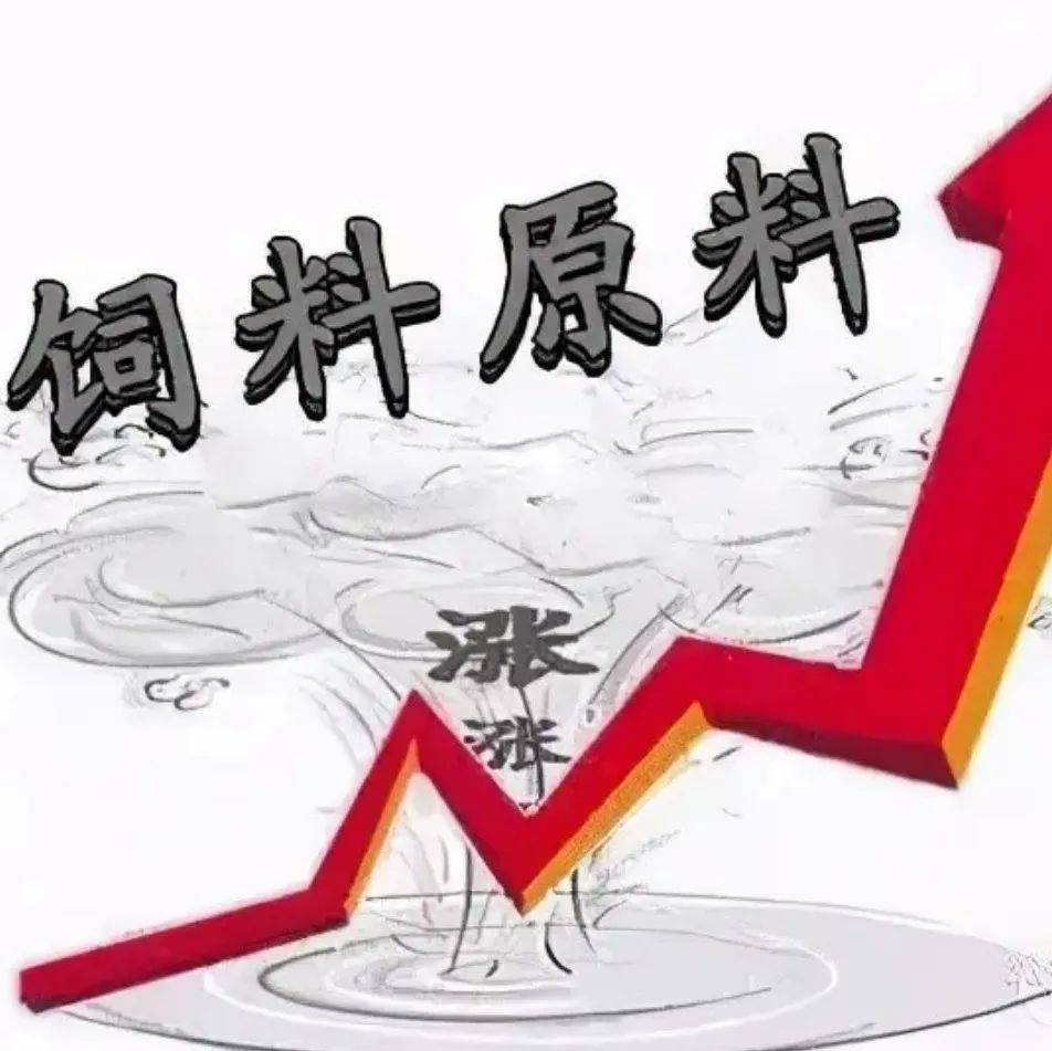 豆粕一天内暴涨200元/吨!拉闸限电停机停产,养户备货需求大...料价要继续涨?_饲料_通知_广东地区