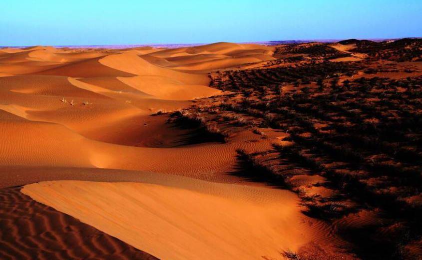 陕西一沙漠，面积比海南岛都大，如今被誉为“大漠绿洲”