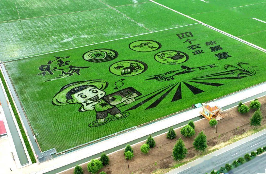 宝泉岭农场有限公司走进宝泉岭的"稻"梦空间让我们一起链接起现代化大