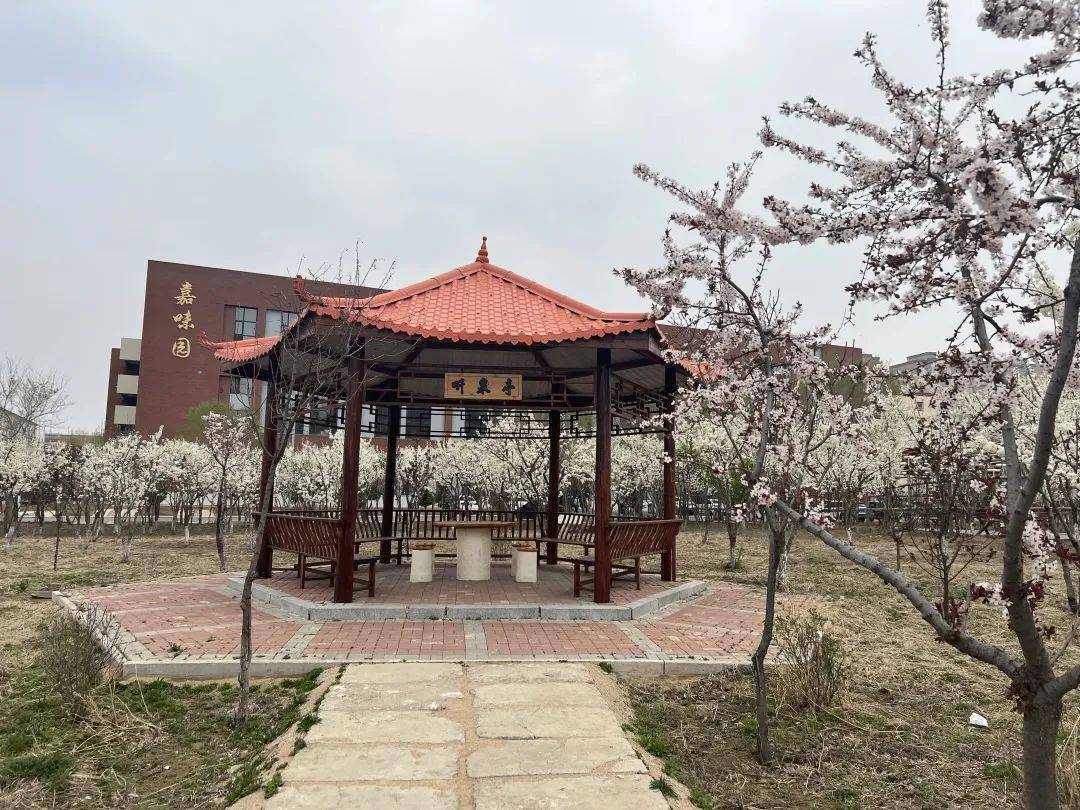 吉林师范大学博达学院招聘公告(2022年6月)_人员_吉林省四平市_用人