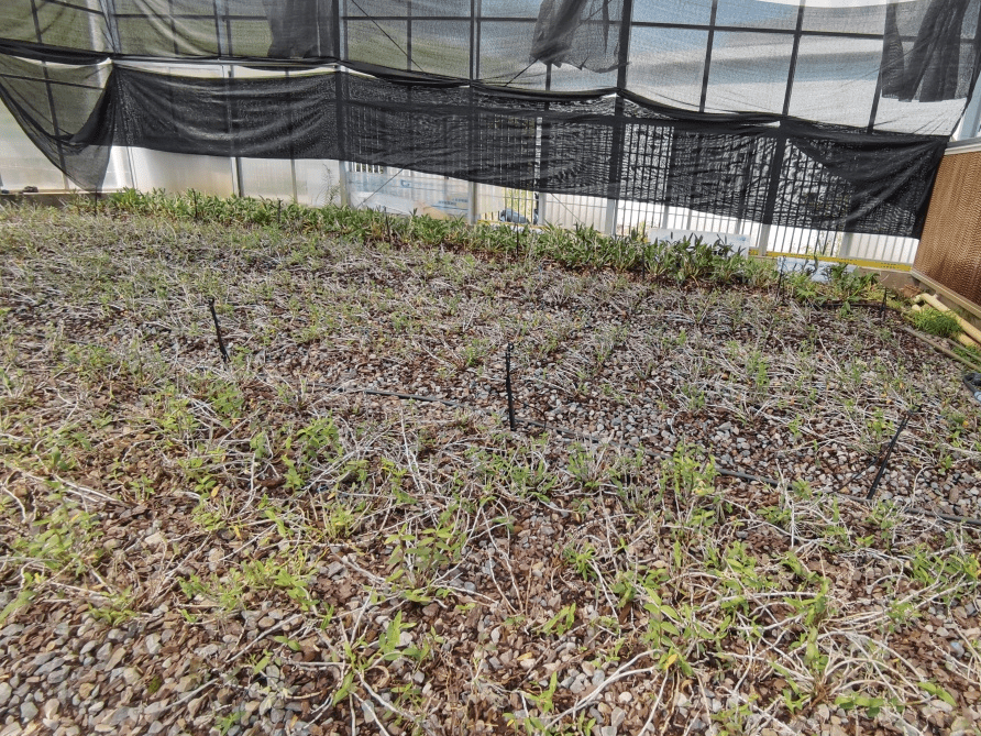 团队成员从陈立钻先生的身上学习到了在探索新路子的过程中总是艰难的