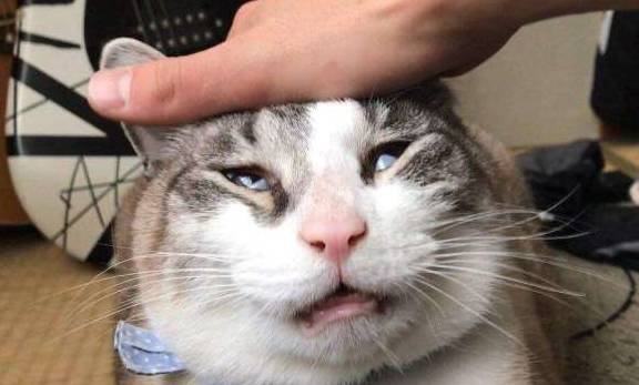 日本鬼脸比赛,谁先笑谁就输,大爷一个表情让你笑掉大牙_小伙子_变形