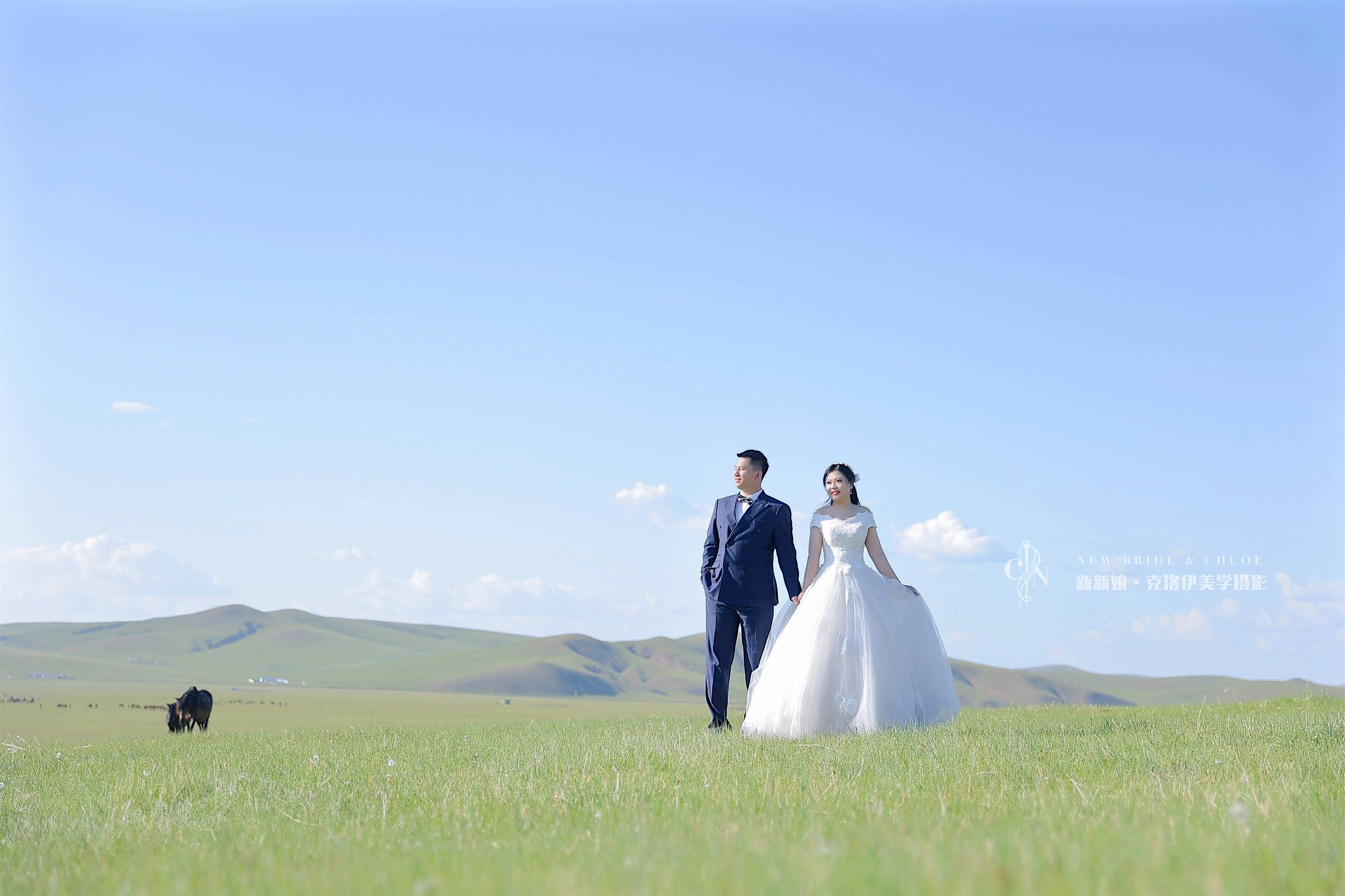光阴几载,戒不掉,对你的爱,王宇&刘彦伶夫妇呼伦贝尔74100%客照草原