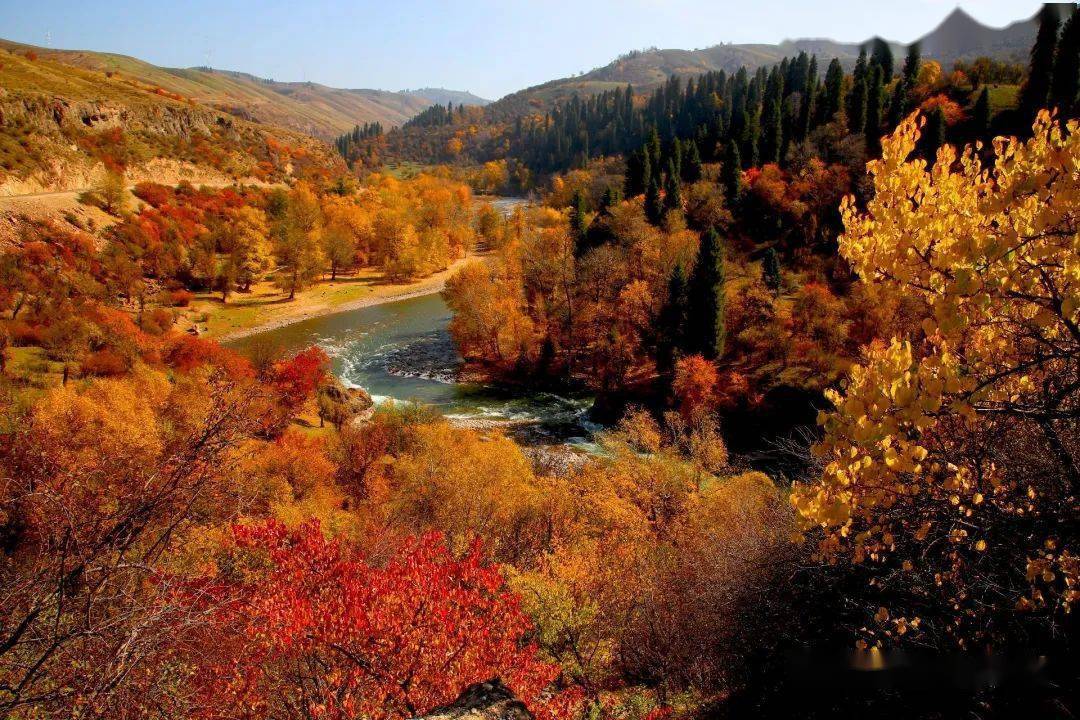 伊犁秋季这么美,总有一个地方是你想去的!_那拉提_旅游_南疆