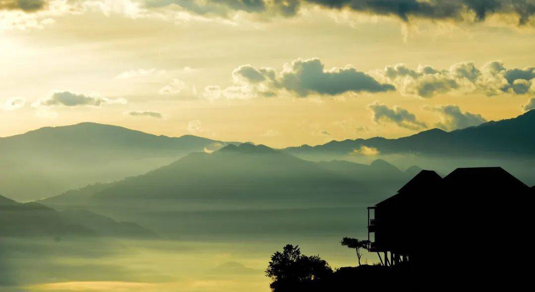 海拔1600米的世界上最大有机乌龙茶园，地处北回归线，可以每天看云雾蒸腾