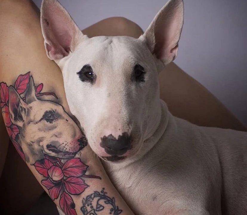 看到最后一个纹身,狗都傻了_主人_线条_宠物