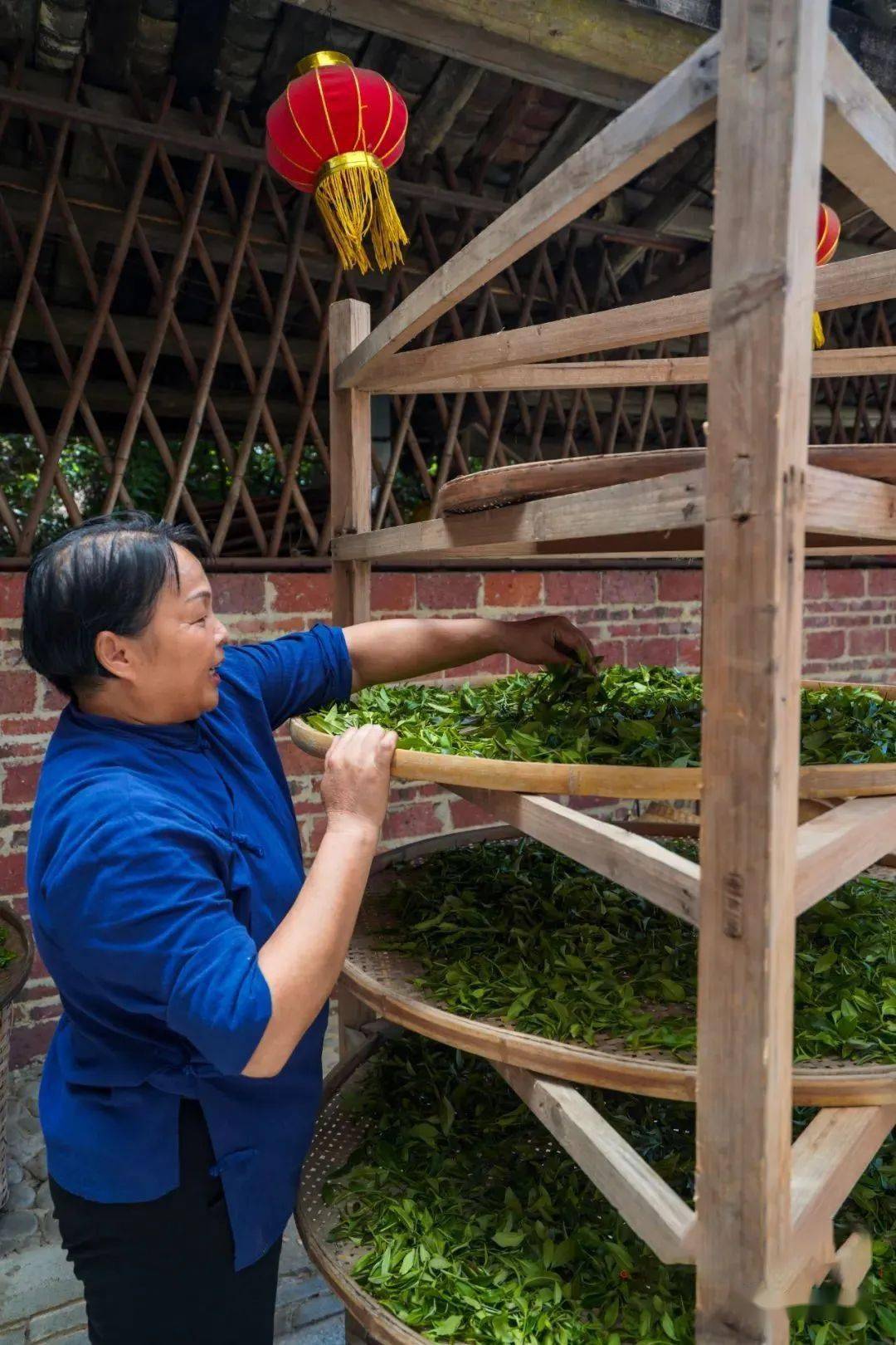 乡邻优选·六堡茶制作技艺_茶叶_进行_陈化