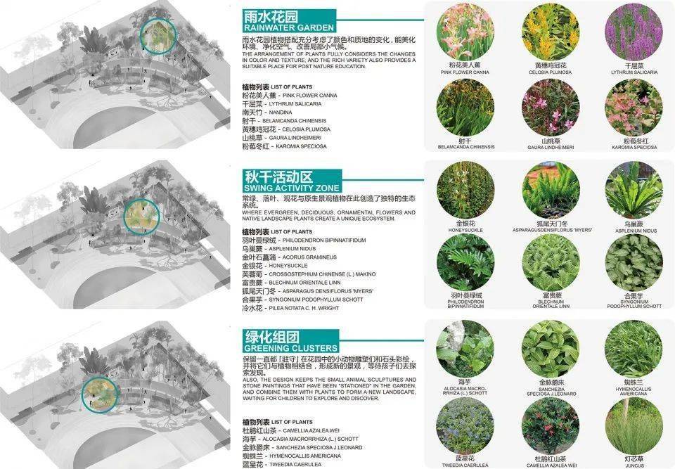 植物微景观设计理念图片