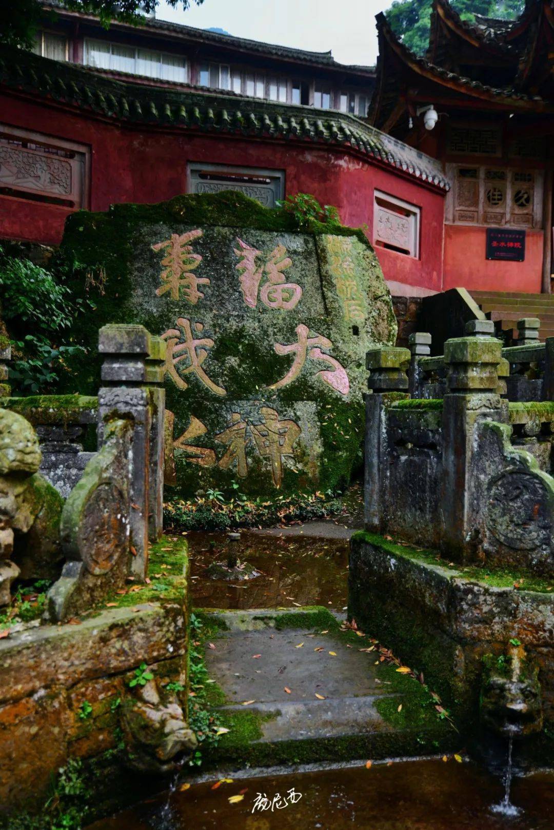 峨眉山徒步小记丨低山区深度游的正确打开方式(下)