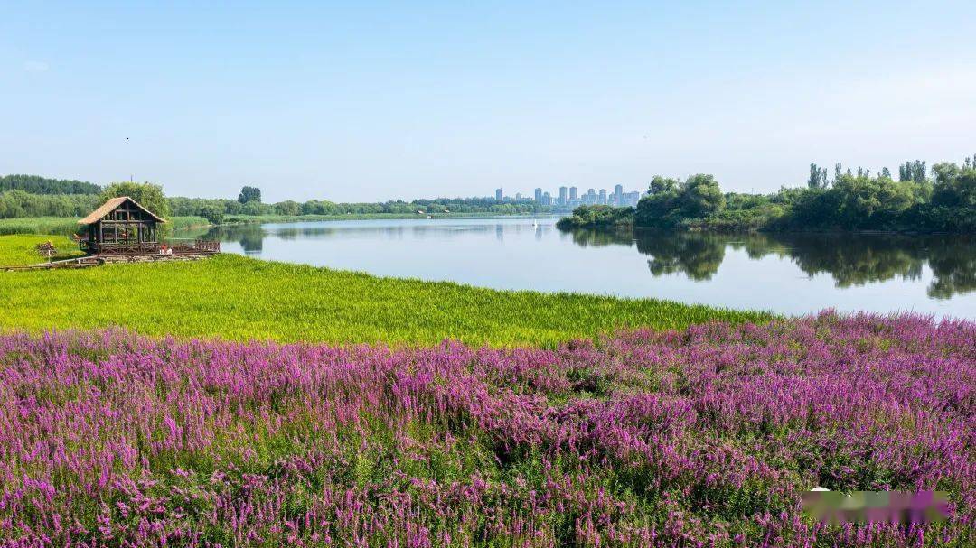 中區屬於運河公園管理範圍,南區則屬於大運河森林公園管理範圍