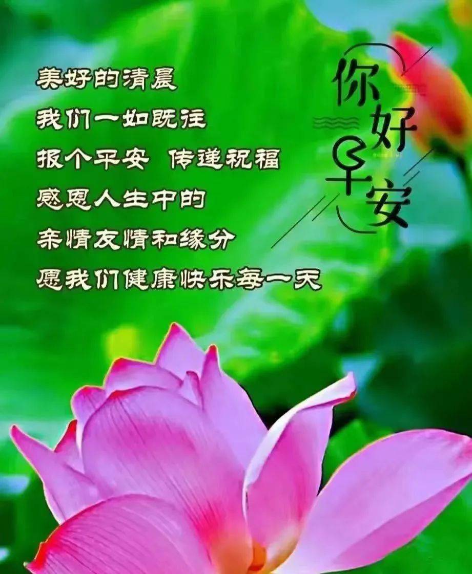 真诚相伴._朋友_感觉_影集