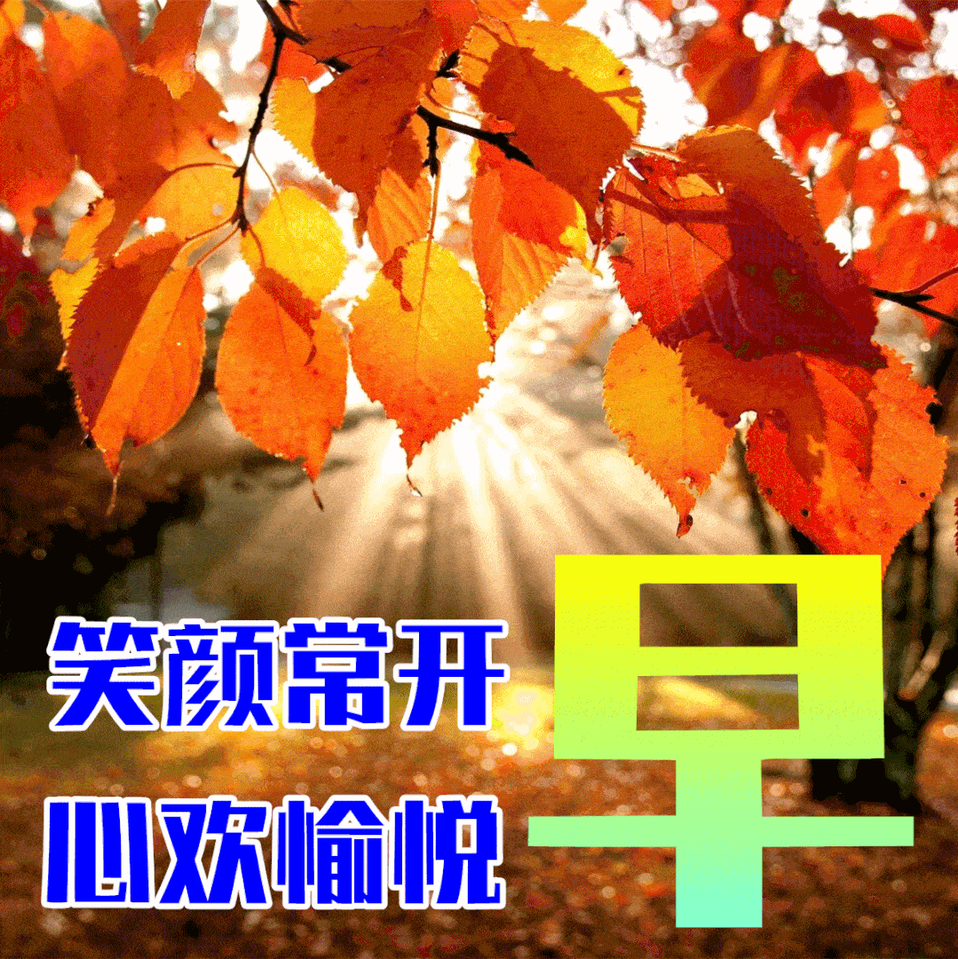 8月28日秋天早上好动态表情图片大全,早晨好动图美图大全_朋友_苦难
