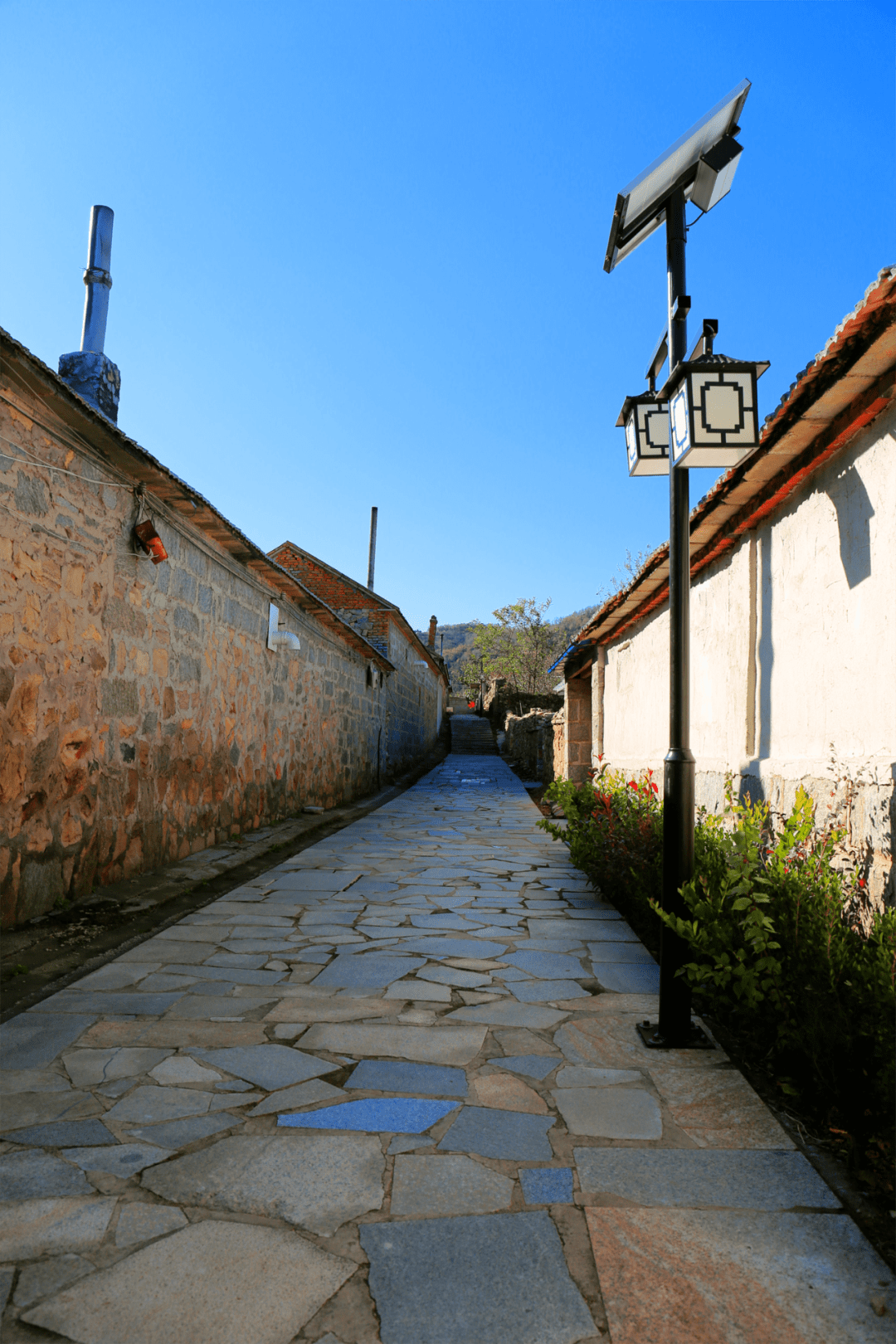 美德健康生活 | 岚山区巨峰镇:铺就乡村振兴"快车道"_进行_道路_养护