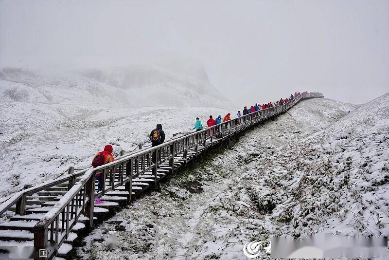 全国多地悄然降下第一场雪