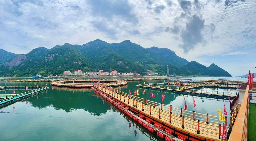 百乡千村行丨福安下白石:因海而生 向海图强_发展_产业_养殖