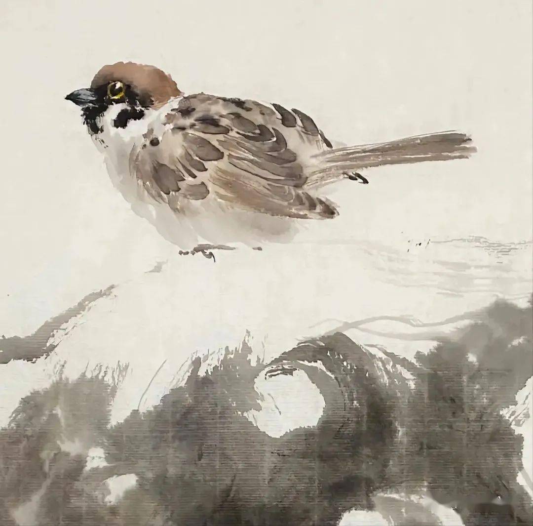 这组小麻雀太可爱了!_墨趣_评价_啾啾