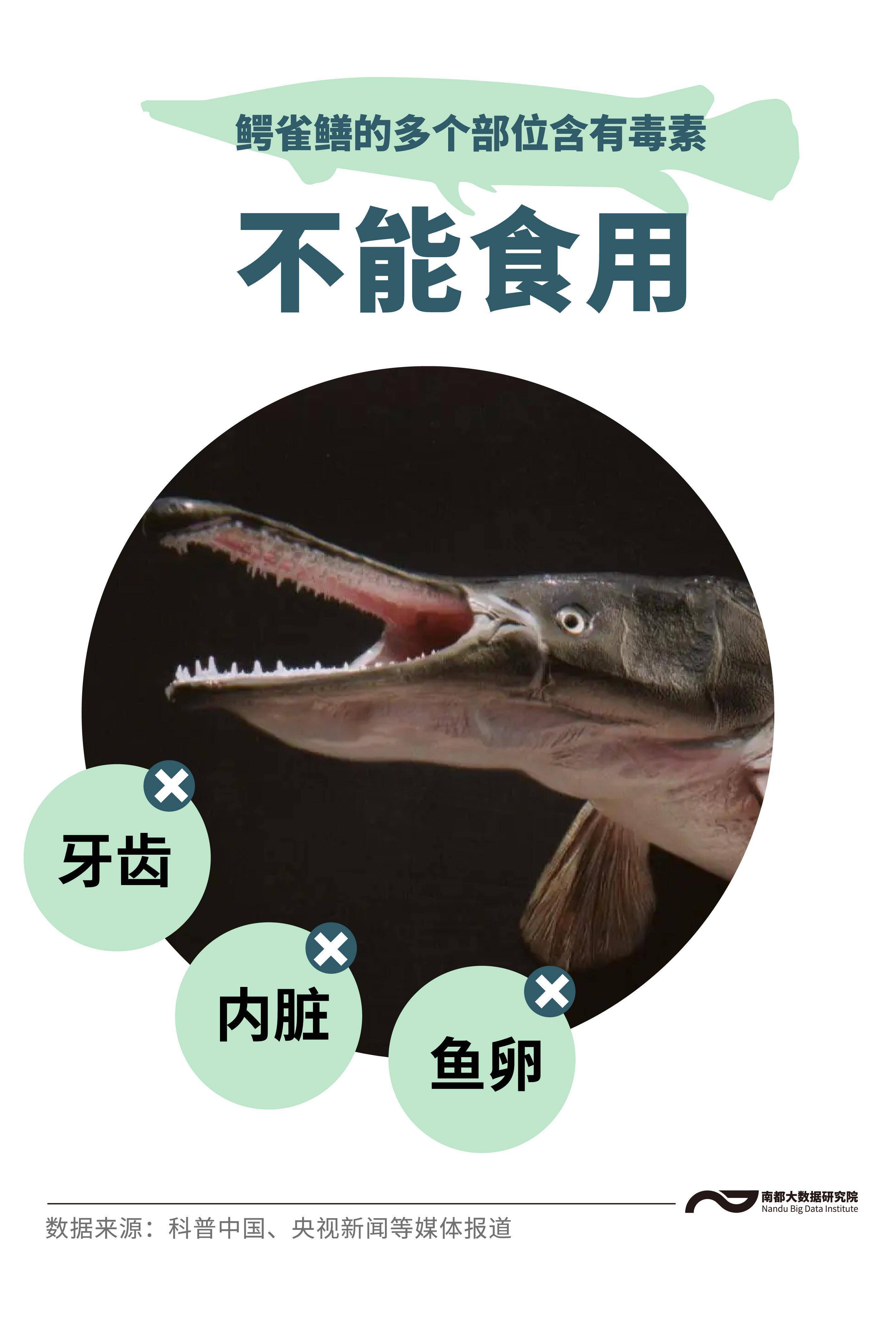 鳄雀鳝是什么,能吃吗?除了它,我国还有哪些外来有害物种?