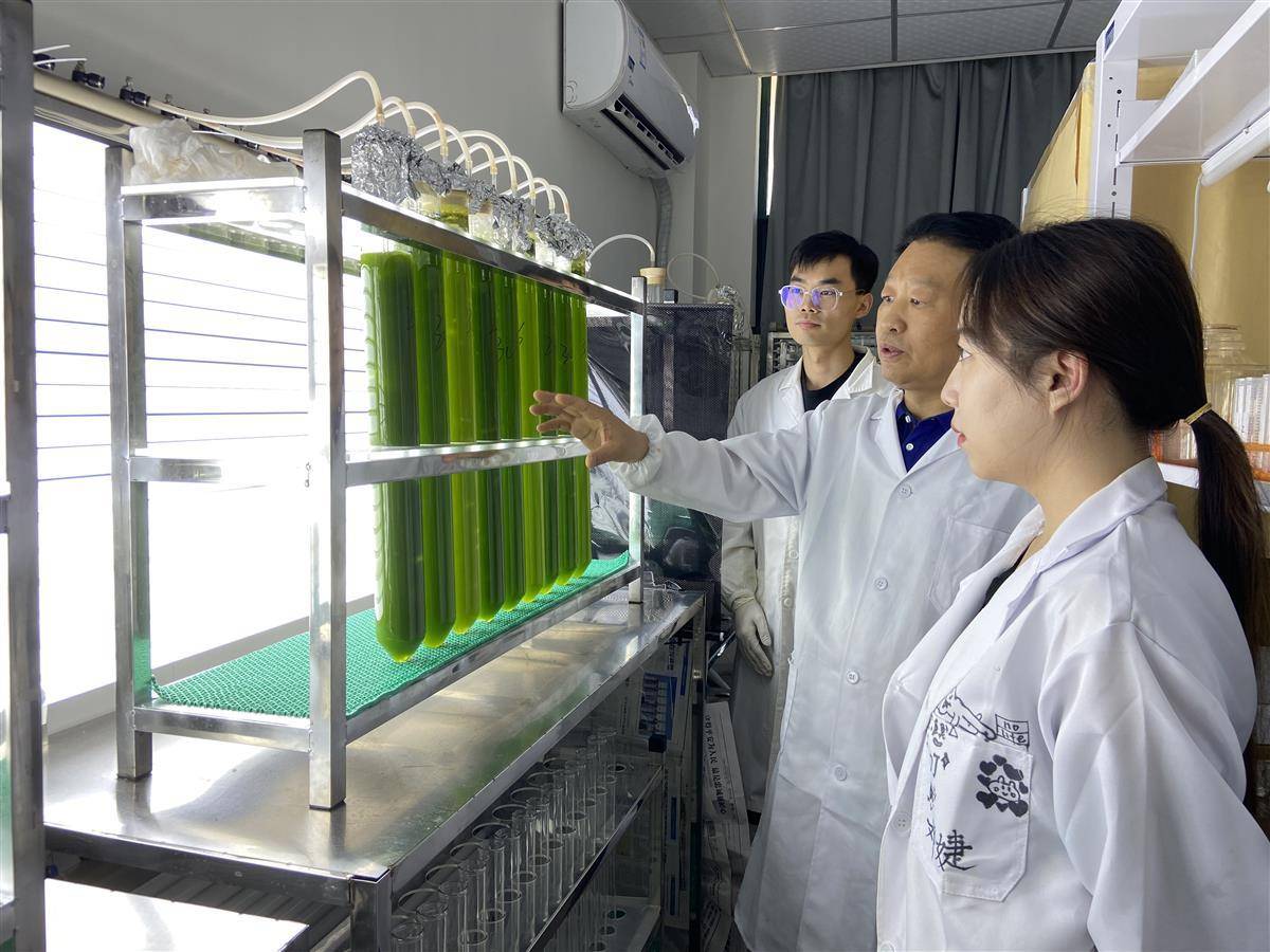 钻研5年找到植物富硒密码，“硒望”天团造就多个全国第一_恩施_团队_产业