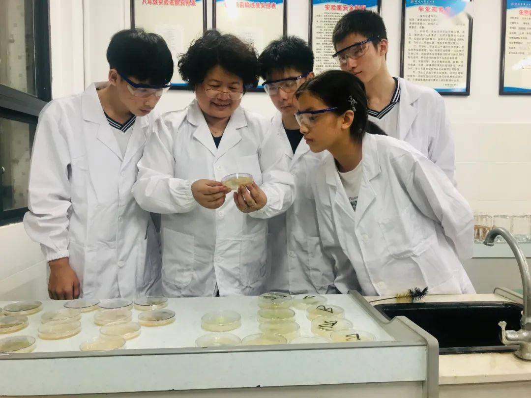 点赞!广西教学名师、特级教师、优秀教师和优秀教育工作者!北海这些老师受表彰,快来看看有没有你认识的老师!_自治区_全国_工程