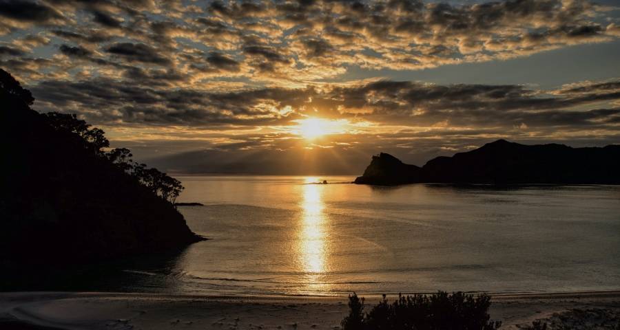 接下来厂商要拿快消品的逻辑做家电了-家电圈官网