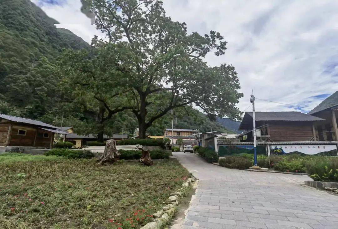 茨开镇丹珠村:扮靓乡村颜值 绘就幸福画卷_整治_人居_环境