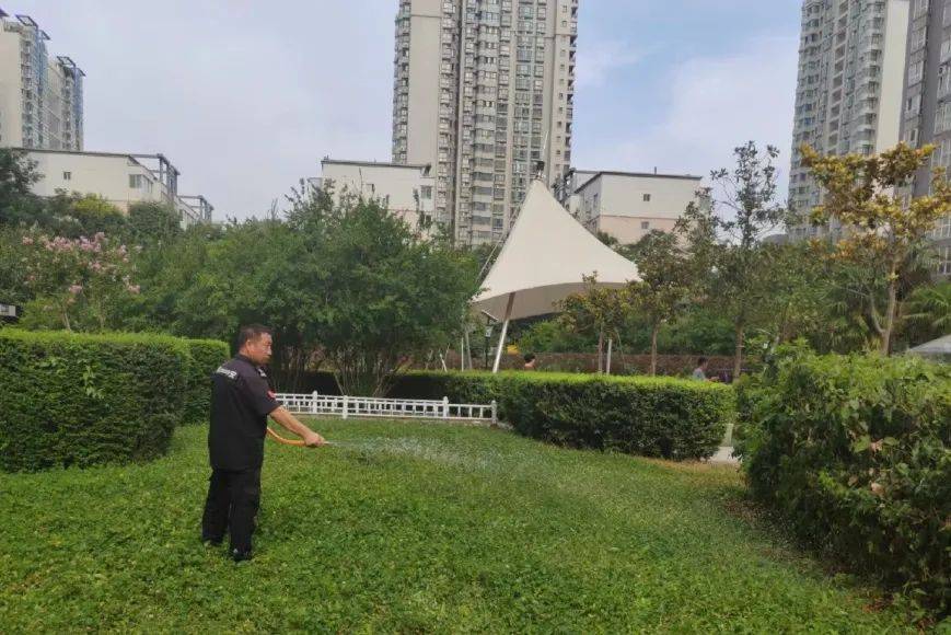 以倾心服务·让美好常驻|中登物业八月简报_工作_小区_园区