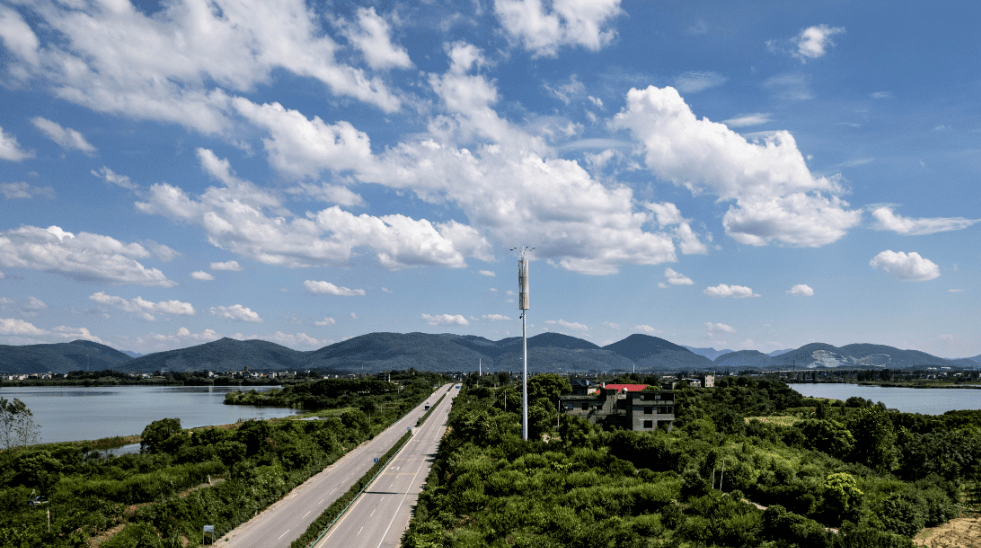 蓮花湖溼地公園:把城市搬進公園裡_陽新縣_科普_生態