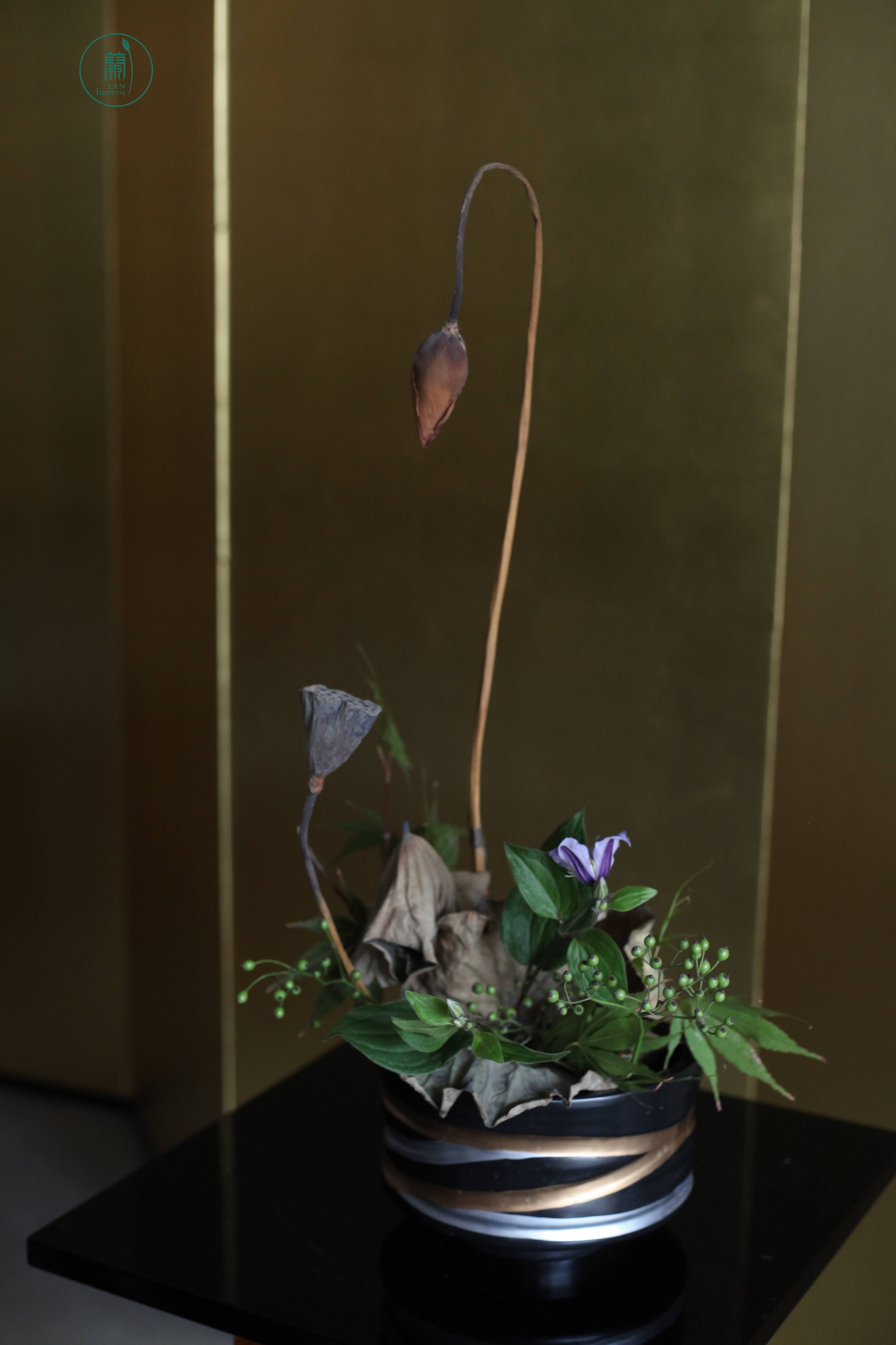 留得枯荷听雨|颓与新意境插花#蘭印象花道专题研修——秋之枯荷 留得枯荷听雨|颓与新意境插花#蘭印象花道专题研修——秋之枯荷