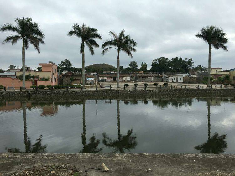 水朝县城,村中央古老的祠堂高悬着老祖宗林楠公明朝任职户部朗中期间