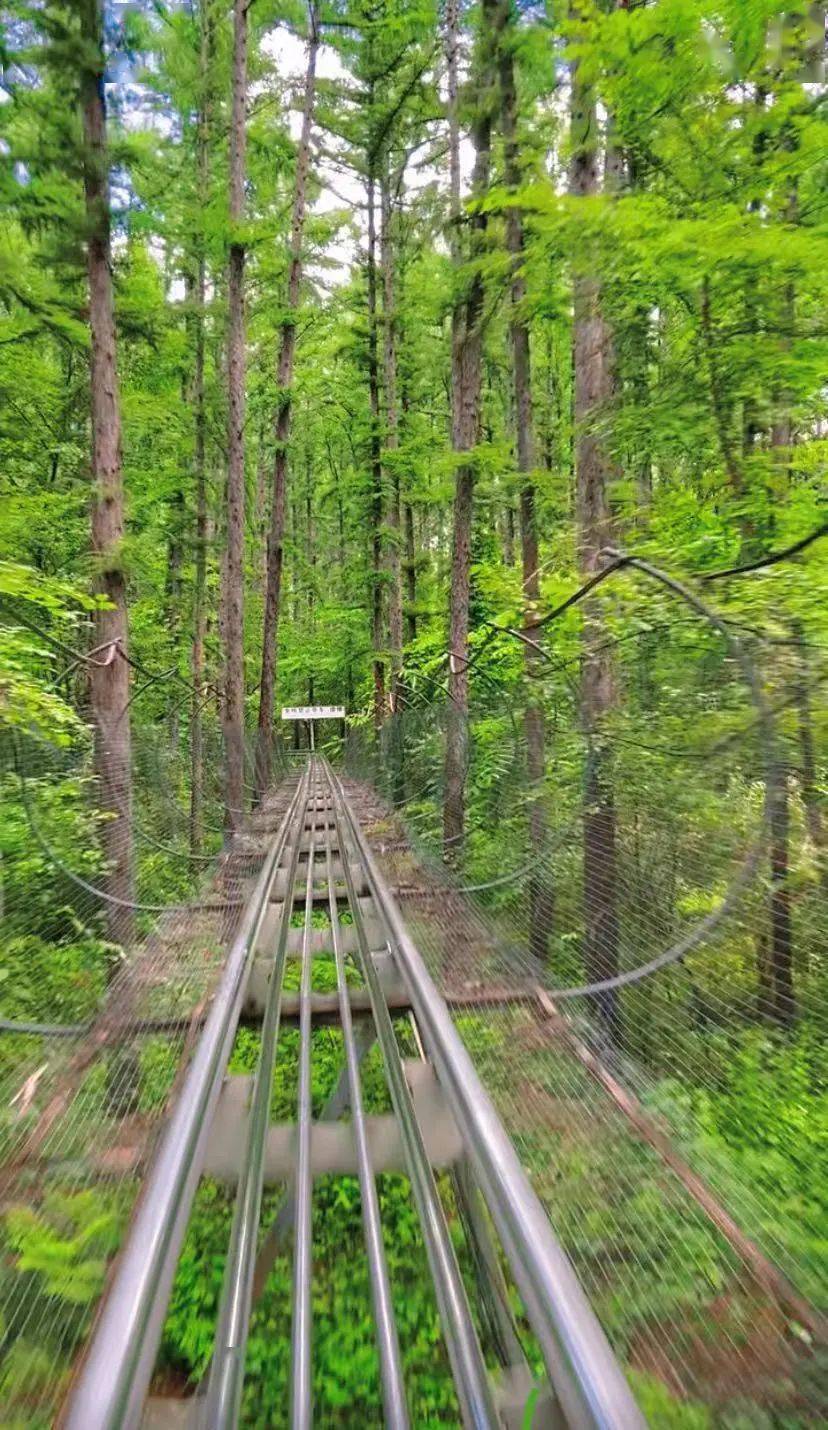 这里不同的季节有不同的风景净月潭索道周而复始一年一年到了冬天又有