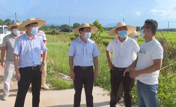 屯昌县长赵英杰:高效统筹疫情防控和农业生产 做到"两手抓,两不误"