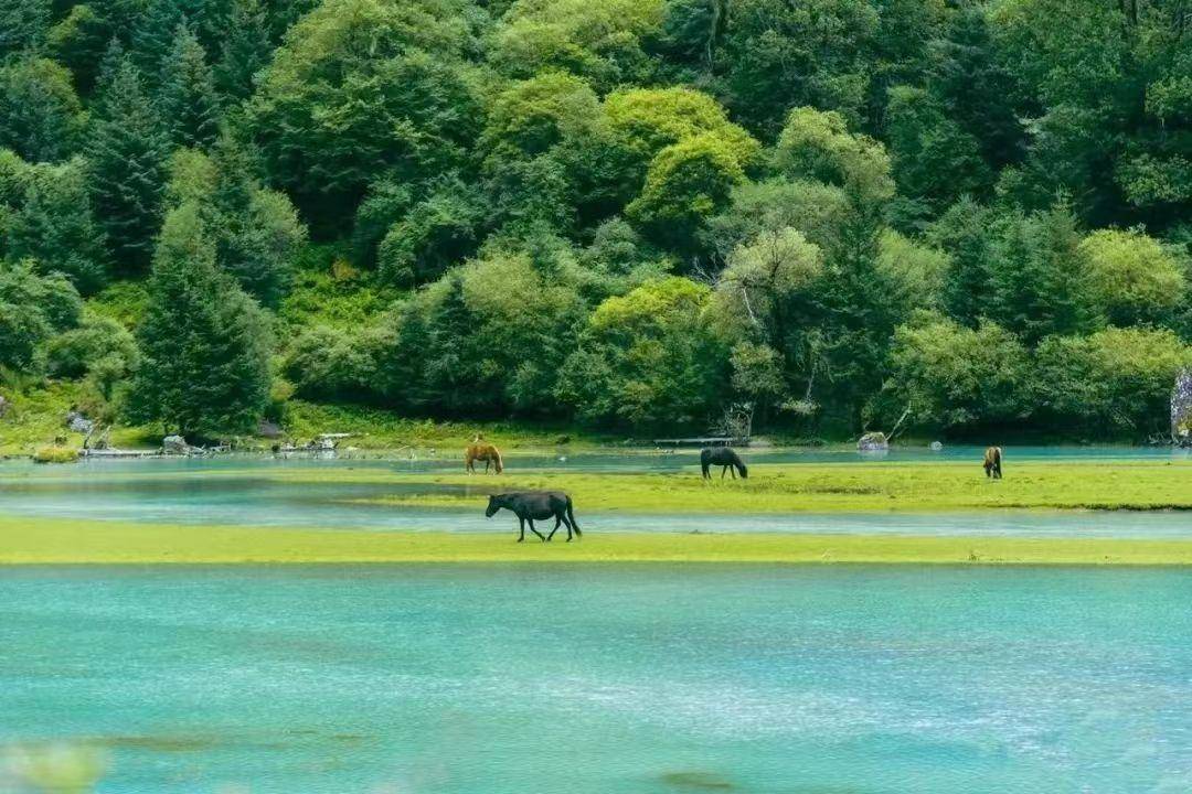 「莲花湖」打卡川西"喀纳斯",邂逅不一样的原始之美_海子边_康定_大片
