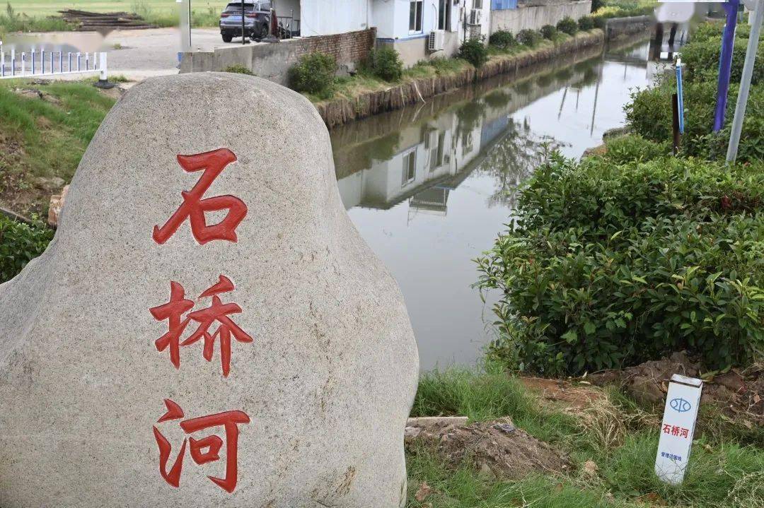 八桥人大:发挥代表专业优势 助力基层发展建设_生产_永胜村_八桥镇