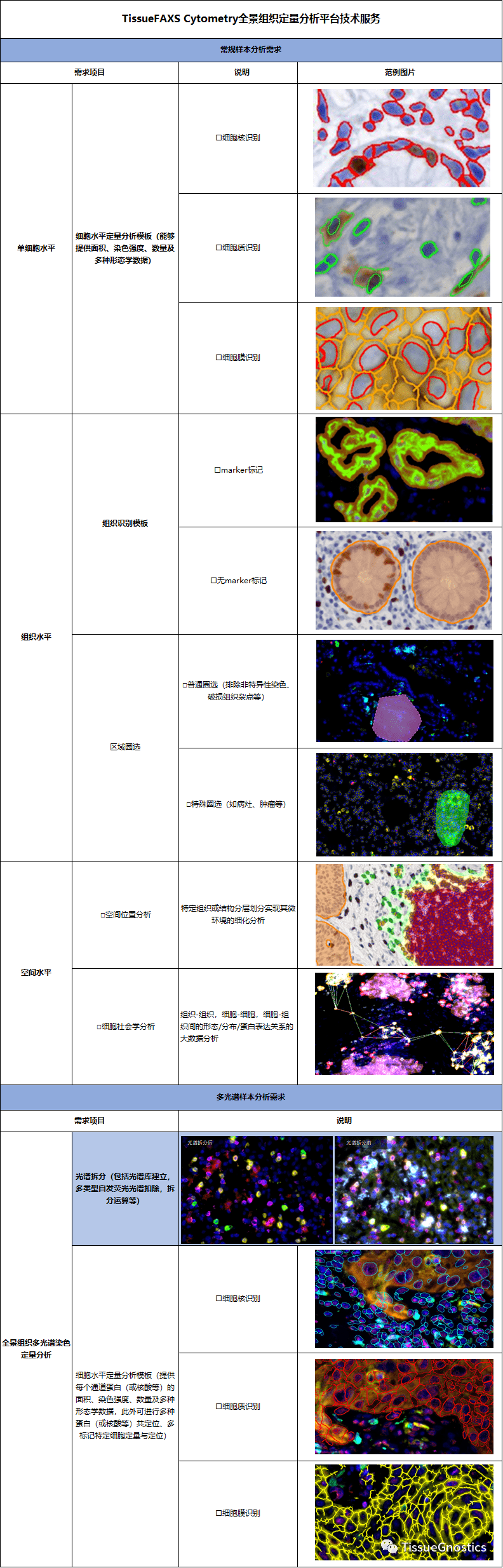 服务科研| TissueFAXS Cytometry组织流式扫描与定量分析技术服务平台_搜狐网