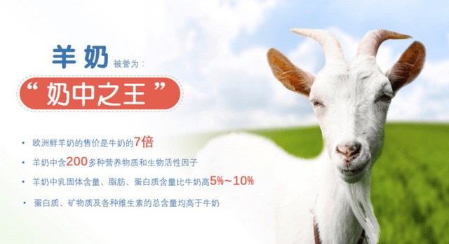 羊奶,被视为乳品中的精品,向来有"奶中之王"的美誉.