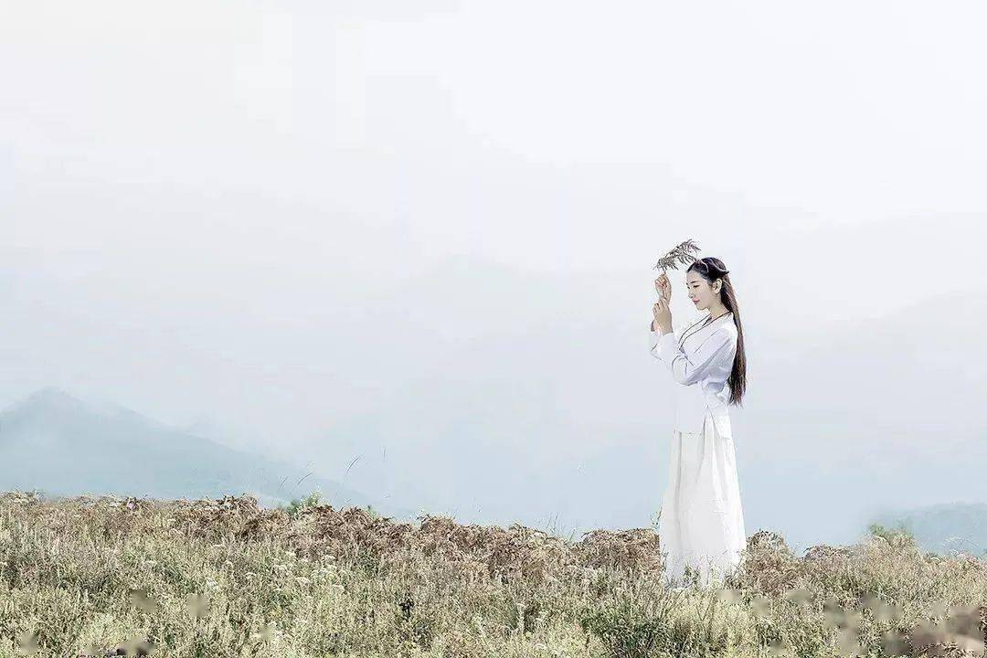 人淡如菊,心淡如水(深度好文)_生命_人生_一生