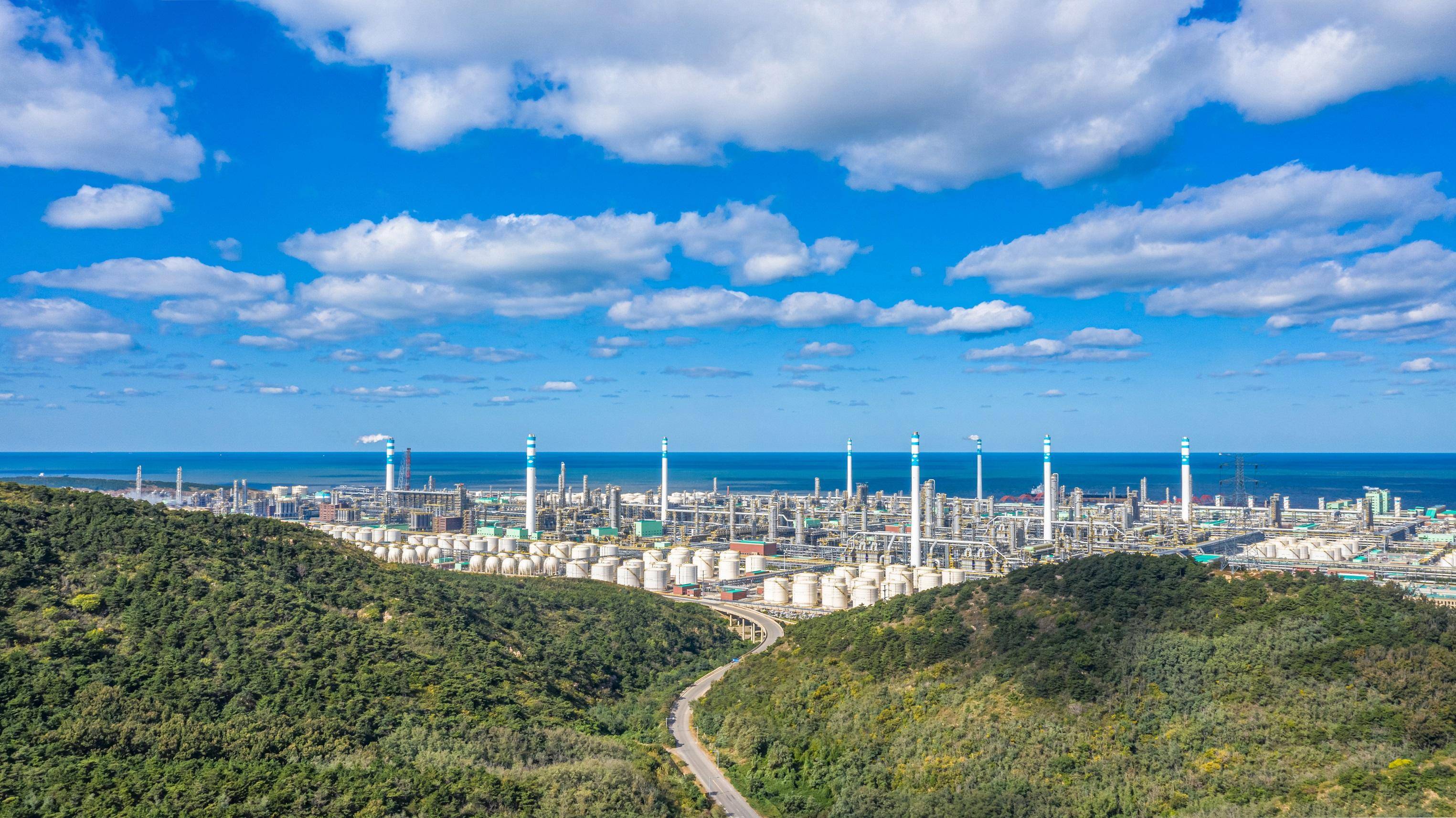 恒力(大连长兴岛)产业园十年发展成就巡礼之二_炼化_行业_项目