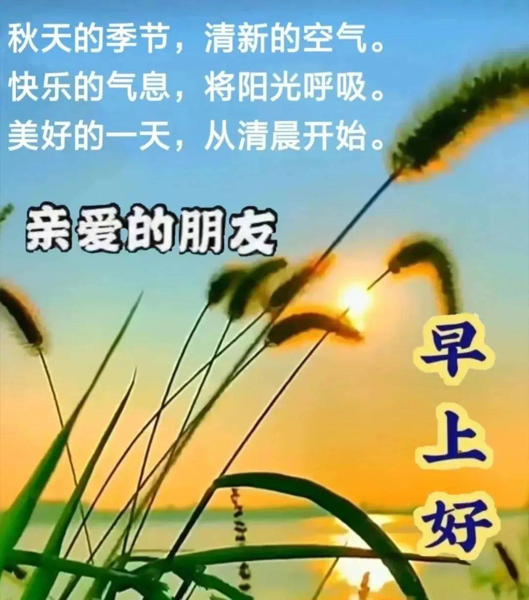 9月4日最新創意好看的早上好祝福圖片帶字 2022唯美早安問候祝福圖片