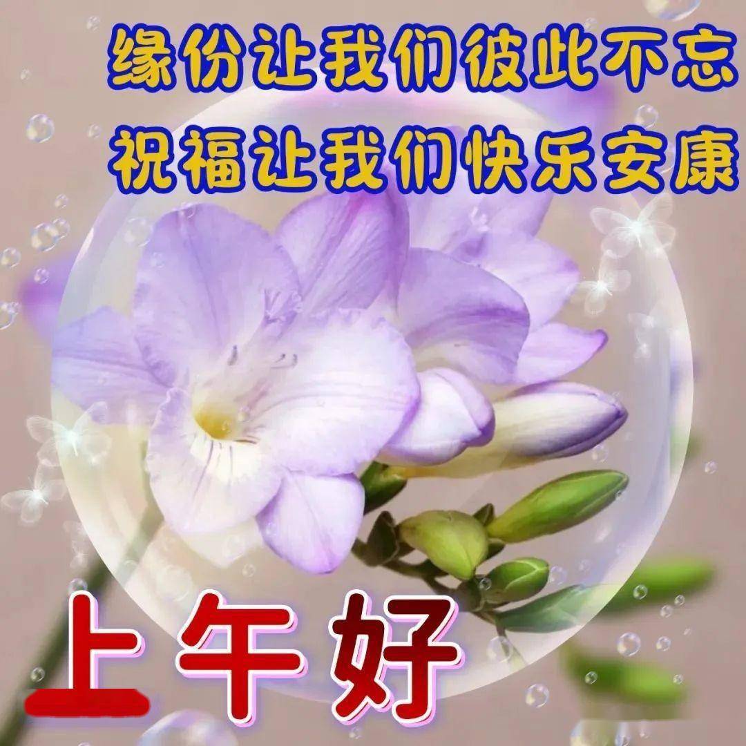 最新早上好表情动图,甜甜的问候,祝你开心每一天