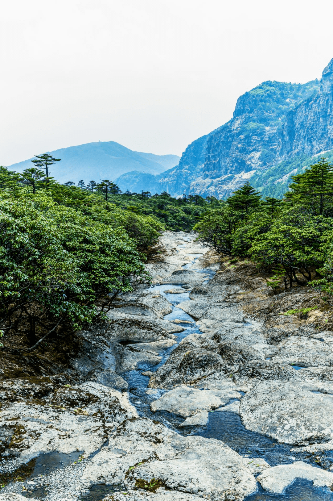 珠江源风景区作为我国四大河流之一的珠江,广东人当然再熟悉不过,珠江