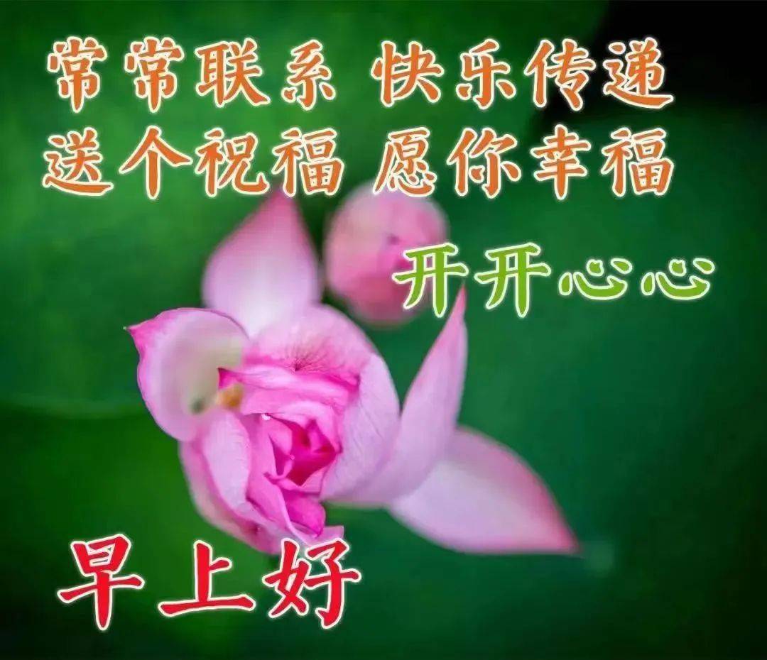 8張最新創意好看的早上好圖片帶祝福語 不用打字聊天的早上好問候祝福