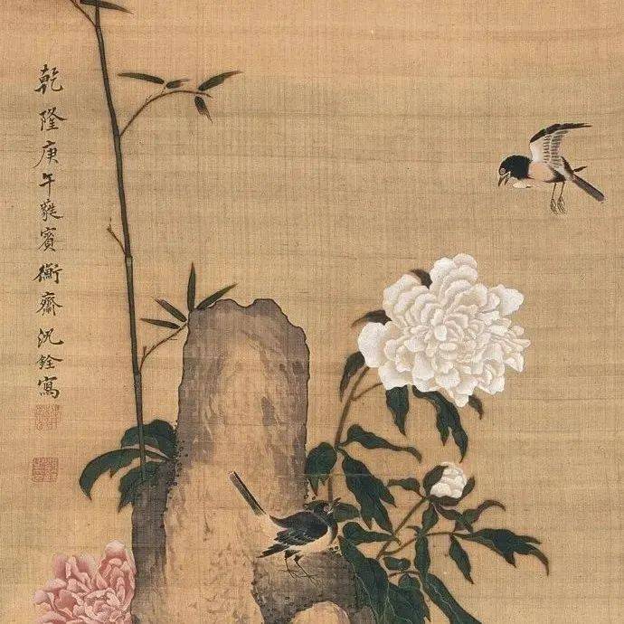 名品视界】清代沈铨花鸟画作品欣赏_搜狐网