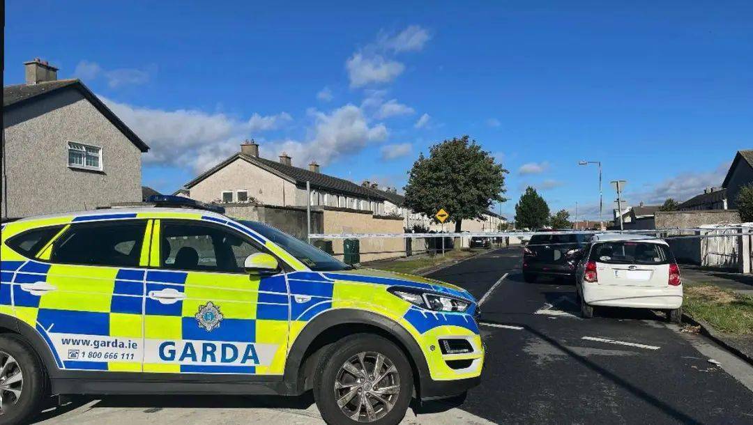 而在爱尔兰警方武装支援部队成员的干预下,犯罪嫌疑人当场被捕.