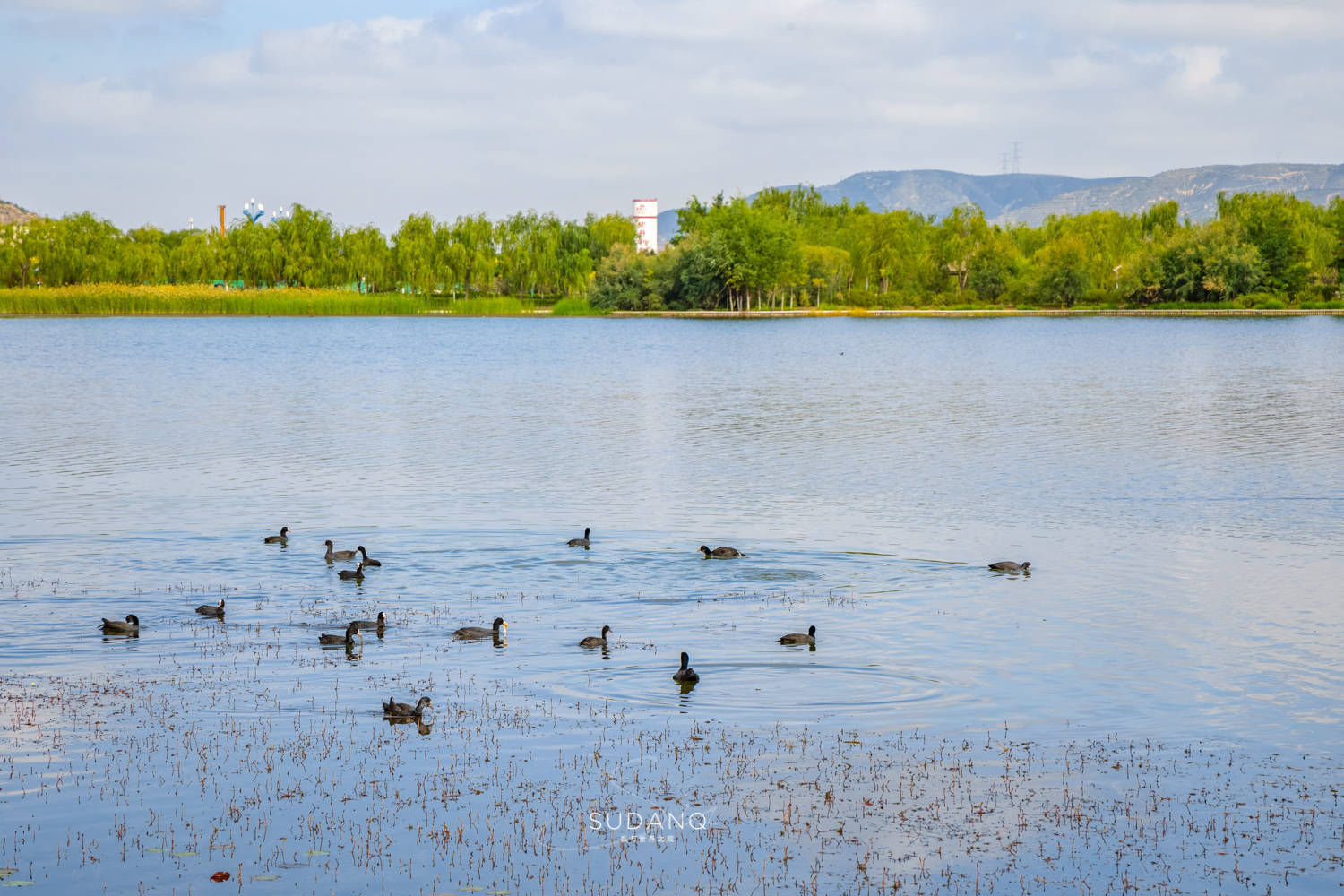 甘肃定西有这么一个人工湖,约为杭州西湖的十七分之一,美如明珠_湖泊