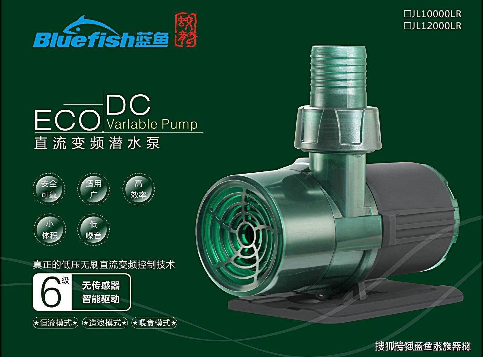 说说如何消除鱼缸水泵噪音_搜狐网