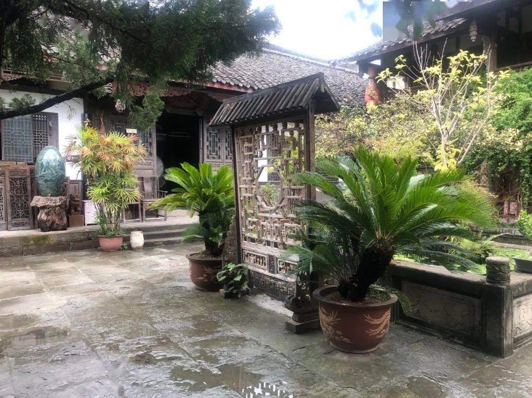 发现阆中美⑤丨主播带你逛古城:胡家院_院落_胡氏_院子